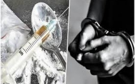 शिमला में 4 चिट्टा तस्कर नजरबंद, पुलिस की बड़ी कार्रवाई