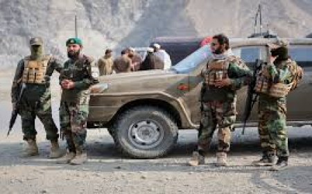 PAK-Afghan जंग तेज : PAK का बड़ा दावा, 274 लड़ाके ढेर, 22 ठिकाने तबाह