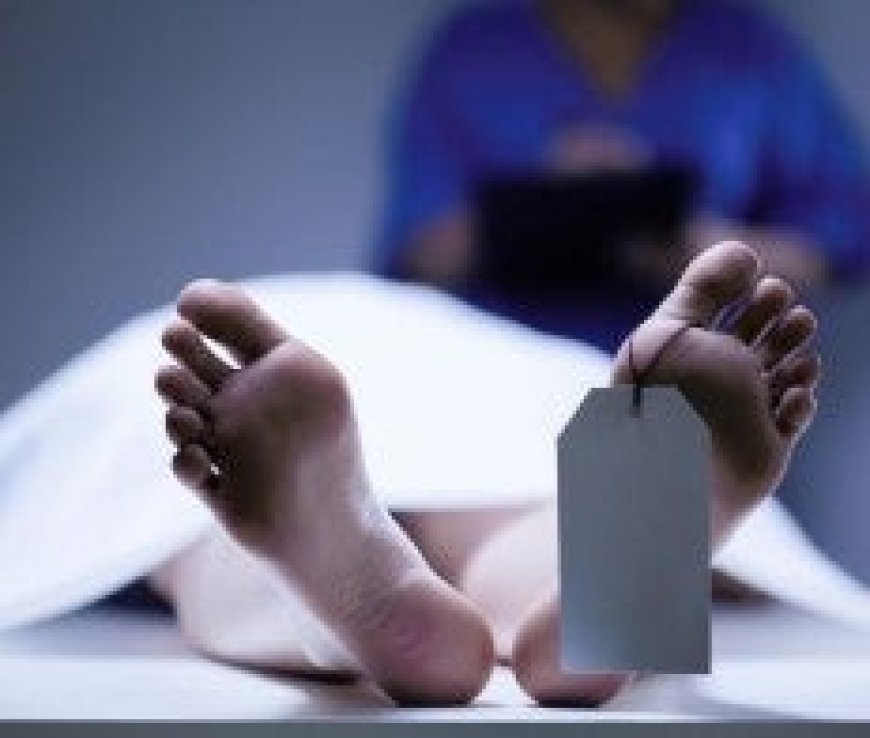 भरमौर में दर्दनाक हादसा, पैर फिसलने से बुजुर्ग की मौत