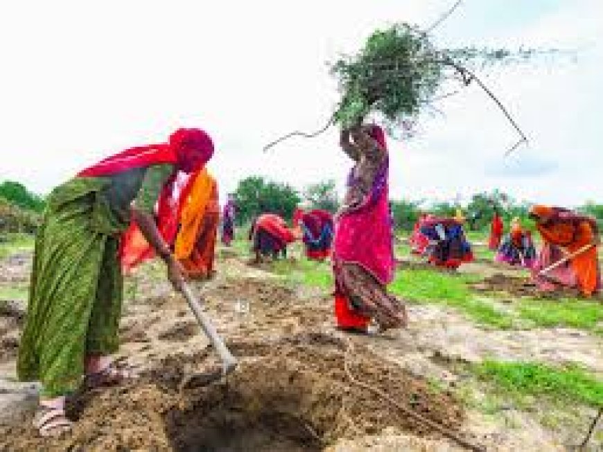मनरेगा में 80 दिन काम करने वाले BPL में, 40 फीसदी दिव्यांगता वाले शामिल, विभाग ने अधिसूचित किए नए नियम