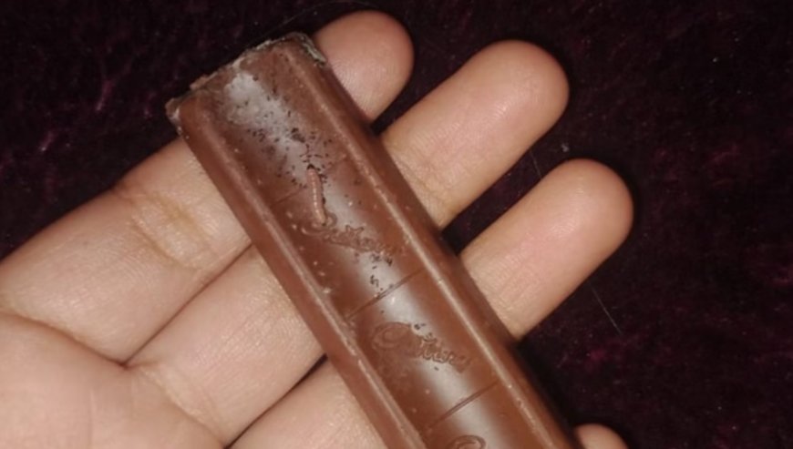 चॉकलेट में निकला जिंदा कीड़ा, अंडे भी दे रखे थे; मई 2026 तक थी वैधता