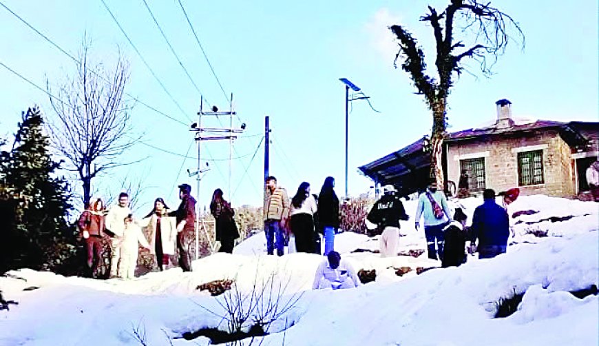 डलहौजी के आहला-लक्कड़मंडी में सैलानियों की बर्फीली मस्ती