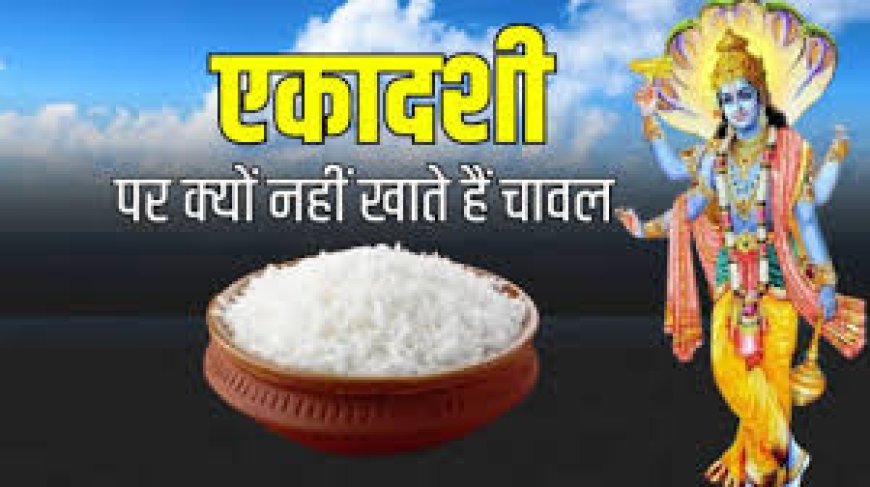 एकादशी पर चावल क्यों नहीं खाते? जानें कारण