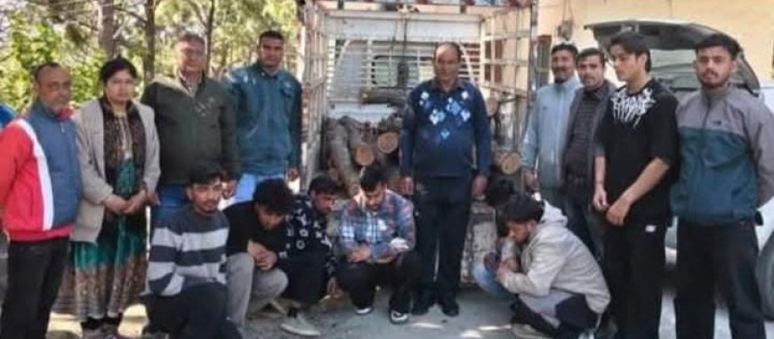 बिझड़ी में खैर तस्करी पकड़ी, बीडीओ की बड़ी कार्रवाई