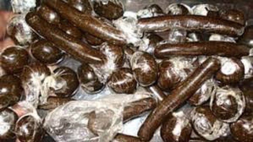 चंडीगढ़ रेलवे स्टेशन पर चरस के साथ धरे कुल्लू के दो युवक 