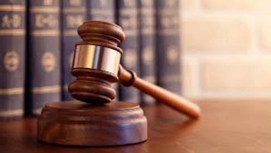 हिमाचल को सुप्रीम राहत,  निजी भूमि पर सूखे-गले खैर कटान पर रोक नहीं