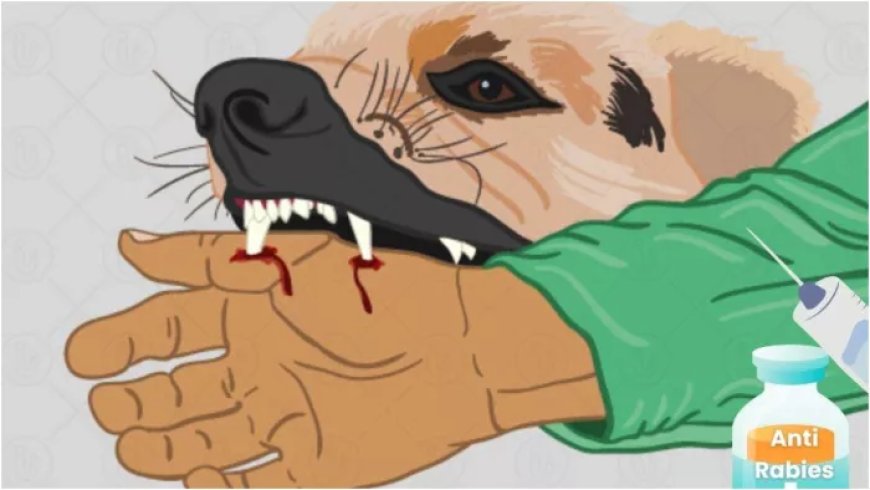 कसौली में रैबीज वैक्सीन फेल, स्वास्थ्य मंत्रालय को भेजी रिपोर्ट