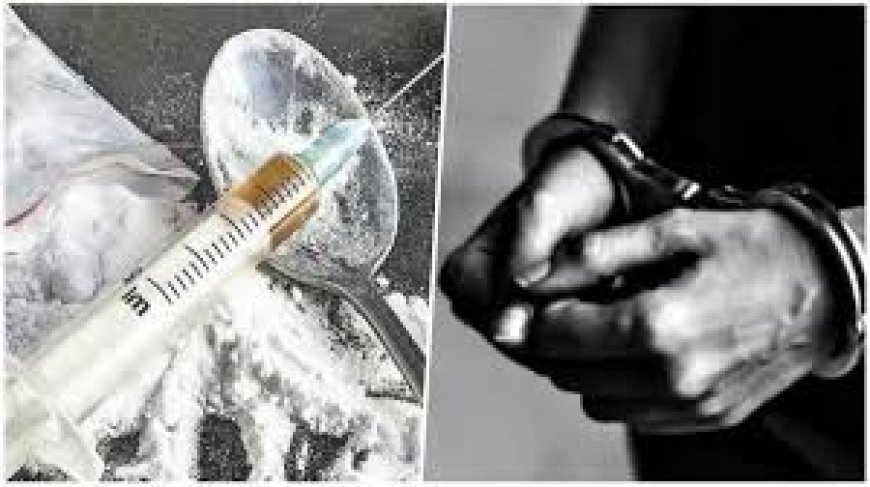 शिमला में चिट्टा गिरोह का भंडाफोड़, 6 गिरफ्तार