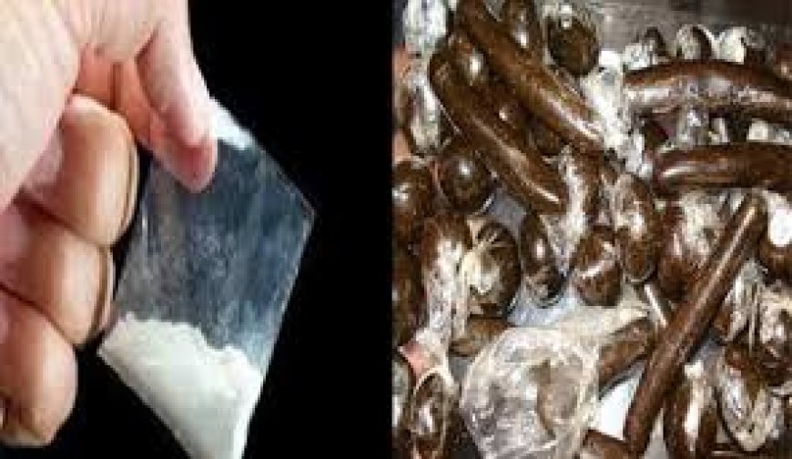 चंबा में चिट्टा-चरस के साथ 3 आरोपी गिरफ्तार