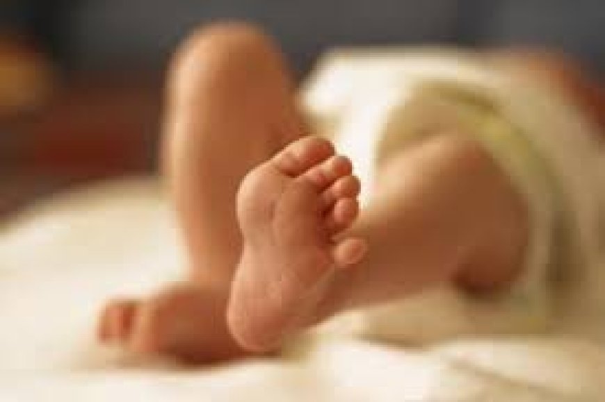 कांगड़ा में चाइल्ड तस्करी गैंग बेनकाब, पंजाब से गिरफ्तारी