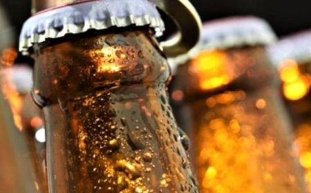 बिलासपुर में 125 पेटी बीयर पकड़ी, कुल्लू का तस्कर गिरफ्तार