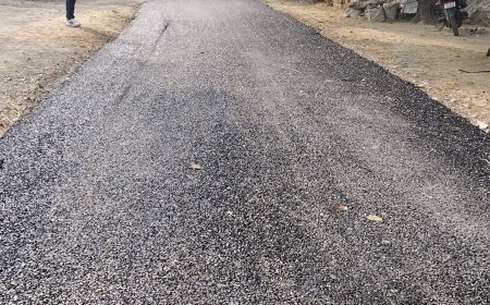 घटिया काम : हिमाचल में 138 ठेकेदार ब्लैकलिस्ट होने की कगार पर