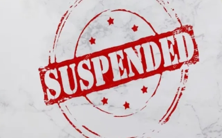 एलएसडी तस्करी केस: STF के 4 कर्मी सस्पेंड, बड़ा खुलासा