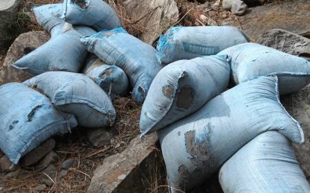 चुराह में नरेड़ नाला किनारे 55 बोरियां खराब सीमेंट बरामद