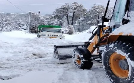 मनाली में भारी बर्फबारी, सोलंग से आगे रास्ते बंद, कुल्लू पुलिस ने जारी की ट्रैफिक एडवाइजरी