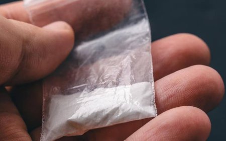 नगरोटा में 52 ग्राम चिट्टे संग युवक गिरफ्तार