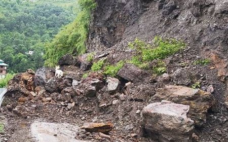 कुल्लू में भू-स्खलन: 35 सड़कें बंद, यातायात प्रभावित