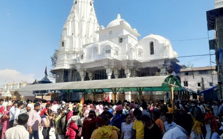 बज्रेश्वरी मंदिर में 54.29 लाख चढ़ावा, भक्तों की भीड़