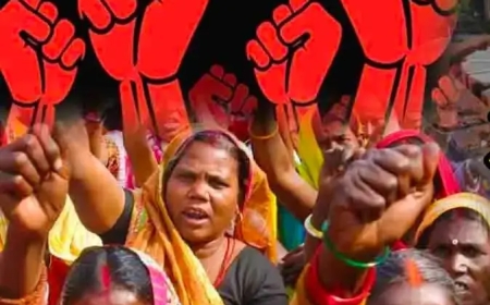 नादौन वार्ड आरक्षण सोमवार को, ड्रॉ से तय होंगी सीटें