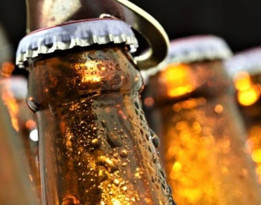 बिलासपुर में 125 पेटी बीयर पकड़ी, कुल्लू का तस्कर गिरफ्तार