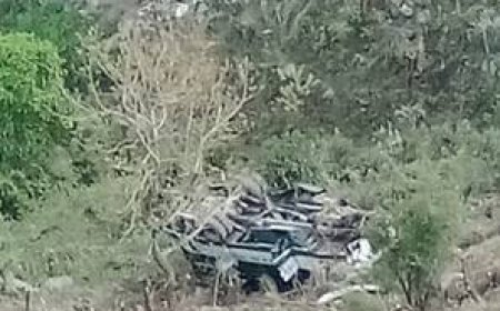 मंडी में HRTC बस 100 मीटर खाई में गिरी, बड़ा हादसा टला