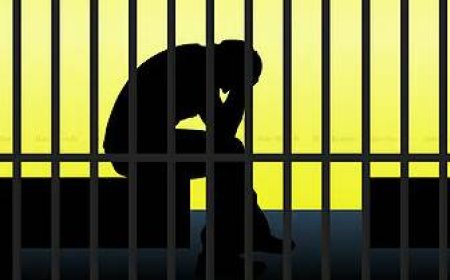 फर्जी ST सर्टिफिकेट से नौकरी, डिप्टी रेंजर को जेल