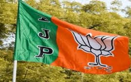 मंडी में BJP की बड़ी बैठक, चुनावी रणनीति तय