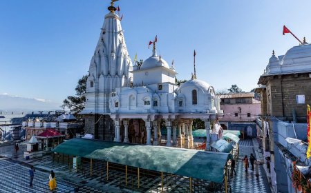 कांगड़ा मंदिर के कलशों पर सोने की परत चढ़ाने का भक्त के सहयोग से किया जा रहा कार्य, उठे सवाल