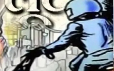 बद्दी में पिस्तौल के दम पर कारोबारी की पत्नी से लूट, एक आरोपी गिरफ्तार