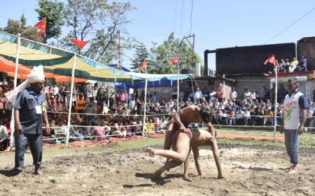 धुम्मू शाह मेले में दंगल का धमाकेदार आगाज