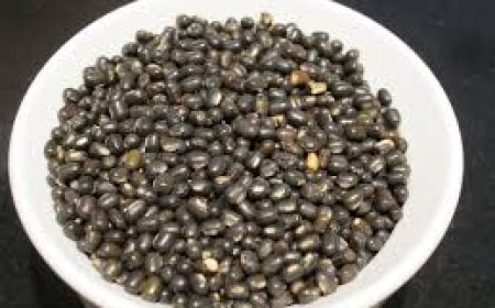 हिमाचल के डिपुओं में दाल के दाम बदले, माह महंगी