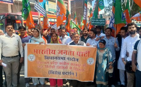 नादौन में भाजपा का हल्ला बोल! सरकार पर लगाए गंभीर आरोप, इन्द्रपाल चौक पर जोरदार प्रदर्शन