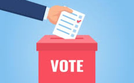 हिमाचल निकाय चुनाव: 449 वार्डों में मतदान का ऐलान