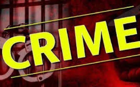 शिमला: छात्रा पर पत्थर से हमला, आरोपी फरार