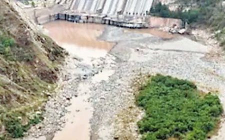 सिंधु के पानी को गिड़गिड़ाया पाक,  यूएन पहुंचा