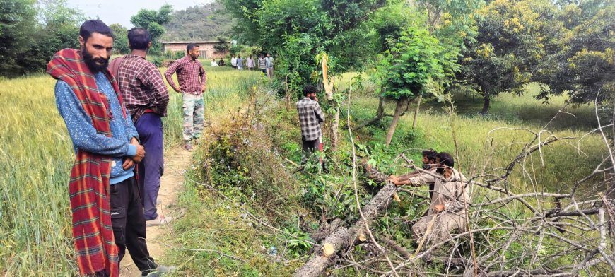 स्टे के बावजूद नूरपुर में खैर कटान! शिकायत दर्ज