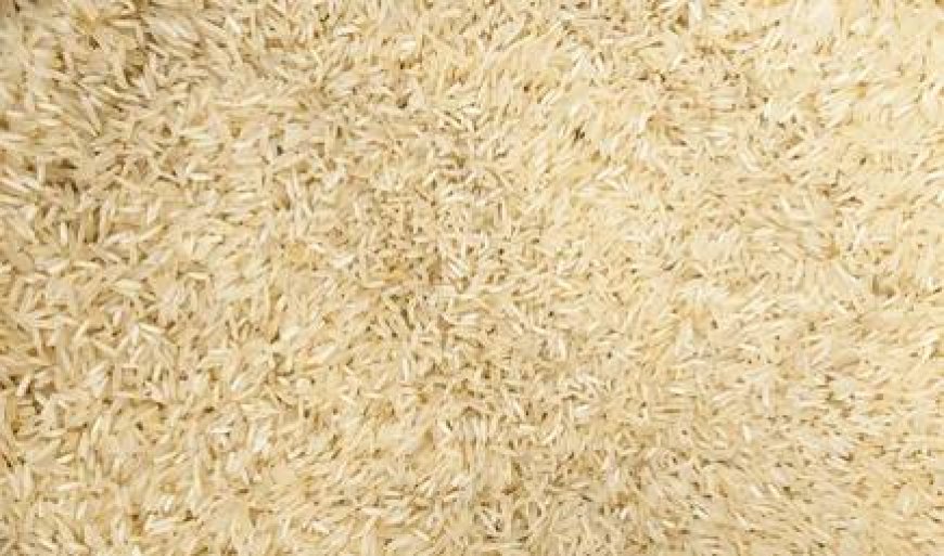 BPL-PHH को 15 किलो चावल फ्री, सरकार की बड़ी राहत