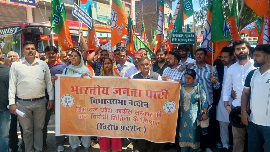 नादौन में भाजपा का हल्ला बोल! सरकार पर लगाए गंभीर आरोप, इन्द्रपाल चौक पर जोरदार प्रदर्शन