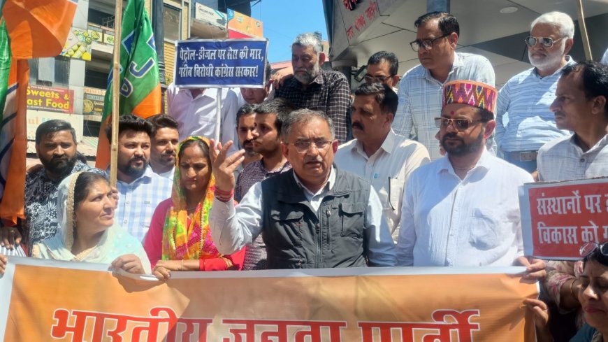 नादौन में भाजपा का हल्ला बोल! सरकार पर लगाए गंभीर आरोप, इन्द्रपाल चौक पर जोरदार प्रदर्शन