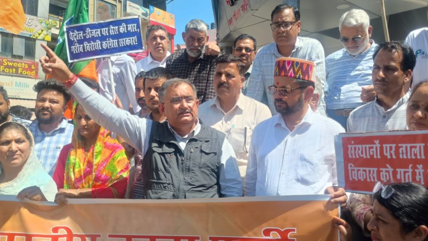 नादौन में भाजपा का हल्ला बोल! सरकार पर लगाए गंभीर आरोप, इन्द्रपाल चौक पर जोरदार प्रदर्शन