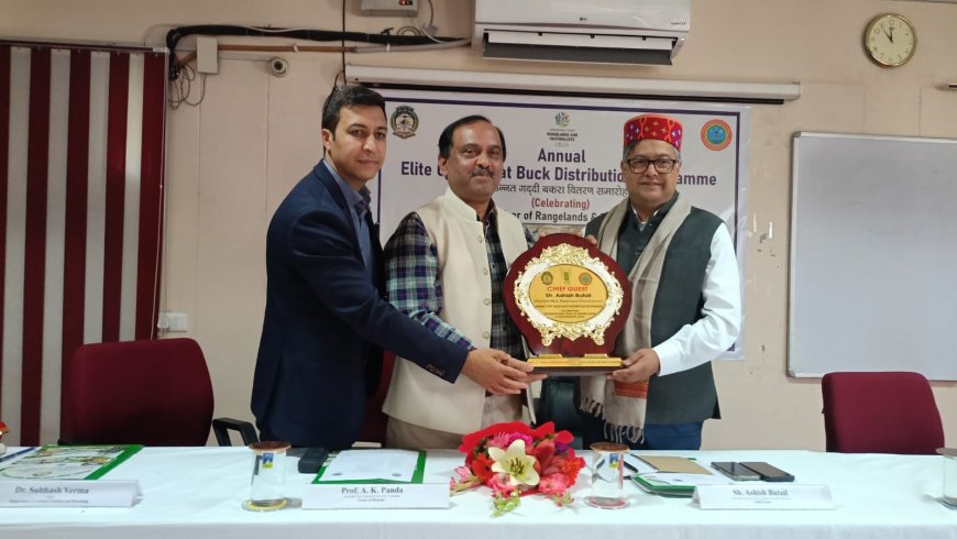 पालमपुर में पशुपालकों को बड़ी सौगात! 20 उन्नत गद्दी बकरे वितरित, आय बढ़ाने पर फोकस