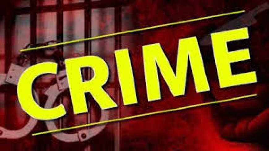 शिमला: छात्रा पर पत्थर से हमला, आरोपी फरार