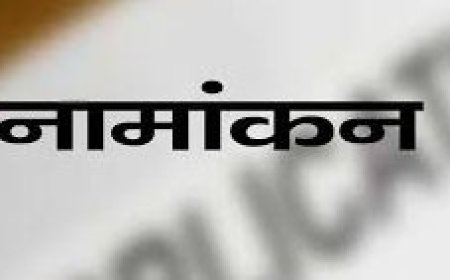 हिमाचल प्रदेश में शहरी निकाय चुनाव: दूसरे दिन 535 नामांकन, कांगड़ा सबसे आगे