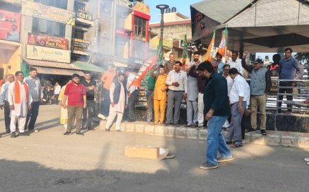 भाजपा की जीत पर नादौन में जश्न, कार्यकर्ता उत्साहित