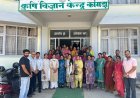 महिला सशक्तिकरण को नई ताकत! कांगड़ा में SHGs के लिए विशेष प्रशिक्षण, आजीविका और पोषण पर मिला मार्गदर्शन