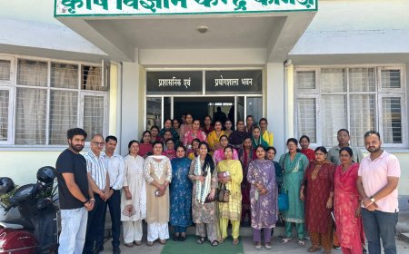 महिला सशक्तिकरण को नई ताकत! कांगड़ा में SHGs के लिए विशेष प्रशिक्षण, आजीविका और पोषण पर मिला मार्गदर्शन