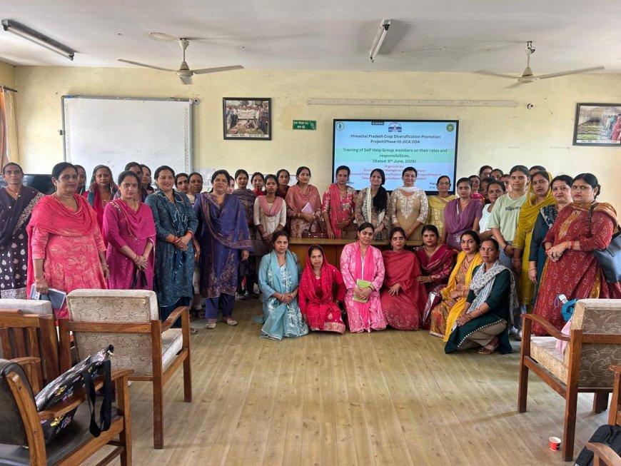 महिला सशक्तिकरण को नई ताकत! कांगड़ा में SHGs के लिए विशेष प्रशिक्षण, आजीविका और पोषण पर मिला मार्गदर्शन