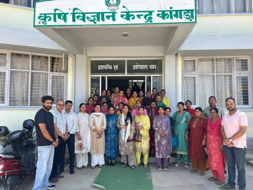 महिला सशक्तिकरण को नई ताकत! कांगड़ा में SHGs के लिए विशेष प्रशिक्षण, आजीविका और पोषण पर मिला मार्गदर्शन