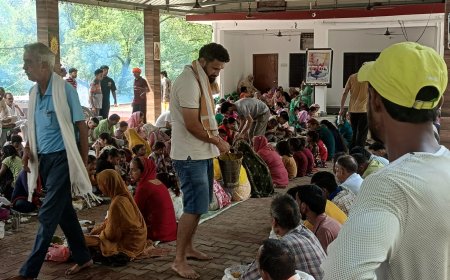 मेघू बाबा मंदिर जलाड़ी में विशाल भंडारा, उमड़ी श्रद्धालुओं की भीड़