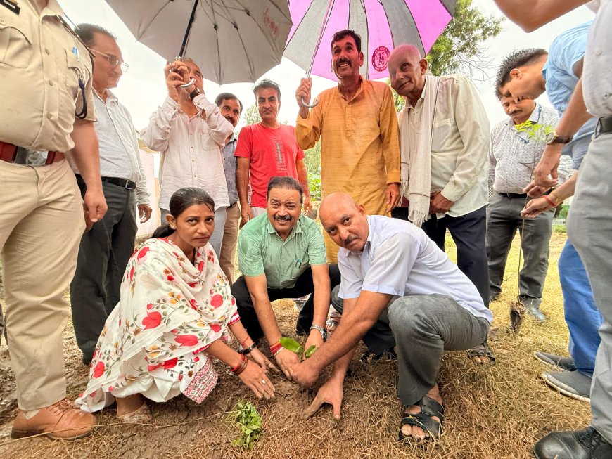इंदौरा विधानसभा क्षेत्र की सभी 58 पंचायतों में चलाया पौधरोपण अभियान
